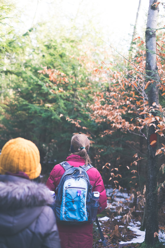 november hike