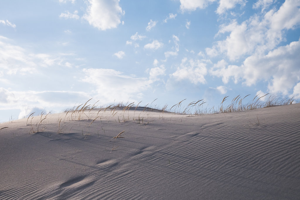 crane beach sands