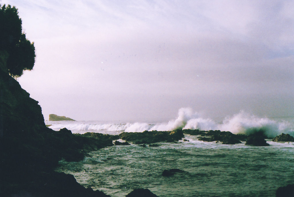 morning at little corona beach