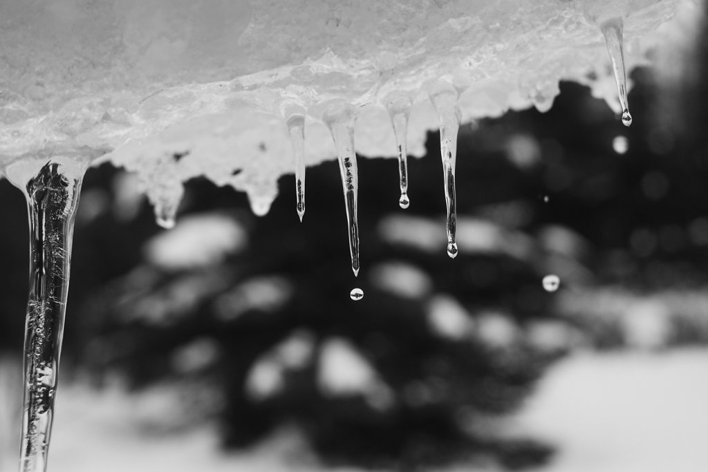 DSCF7881.jpg