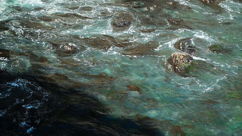 DSCF9597.jpg