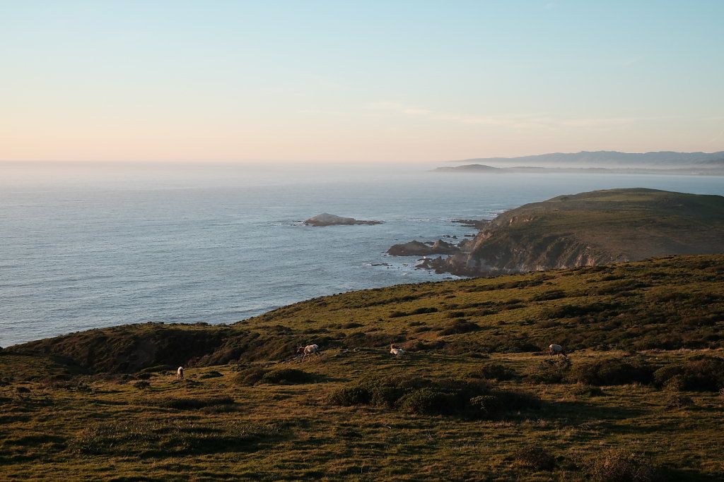 DSCF1434.JPG